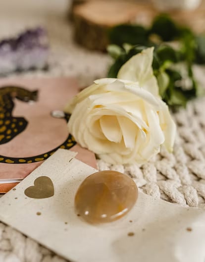 Ritiro di 3 giorni con psilocibina per donne nei Paesi Bassi