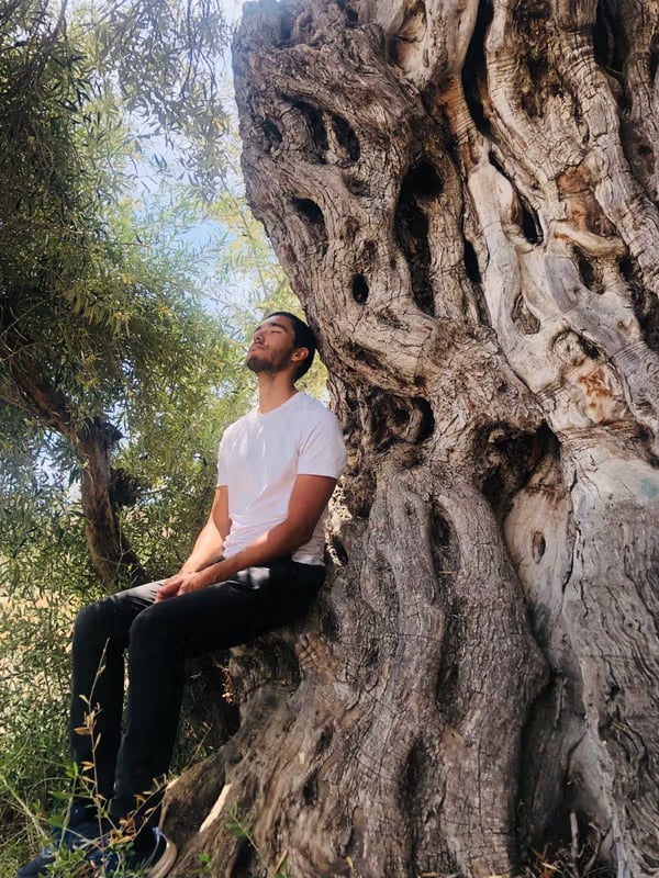 Aya and Bufo Deepening · Ritiro di 5 giorni con Ayahuasca e Rospo