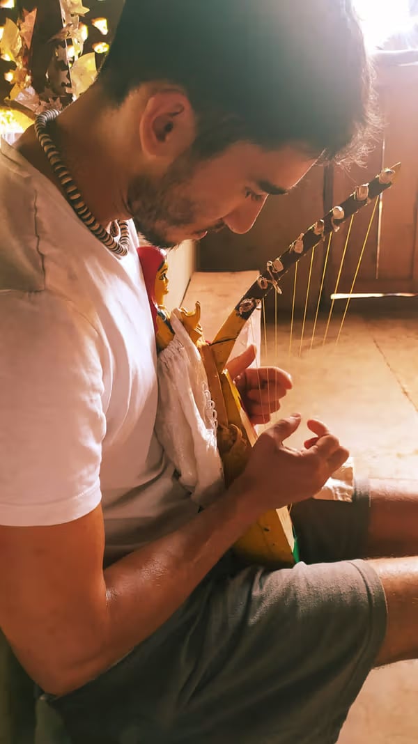 Aya and Bufo Deepening · Ritiro di 5 giorni con Ayahuasca e Rospo