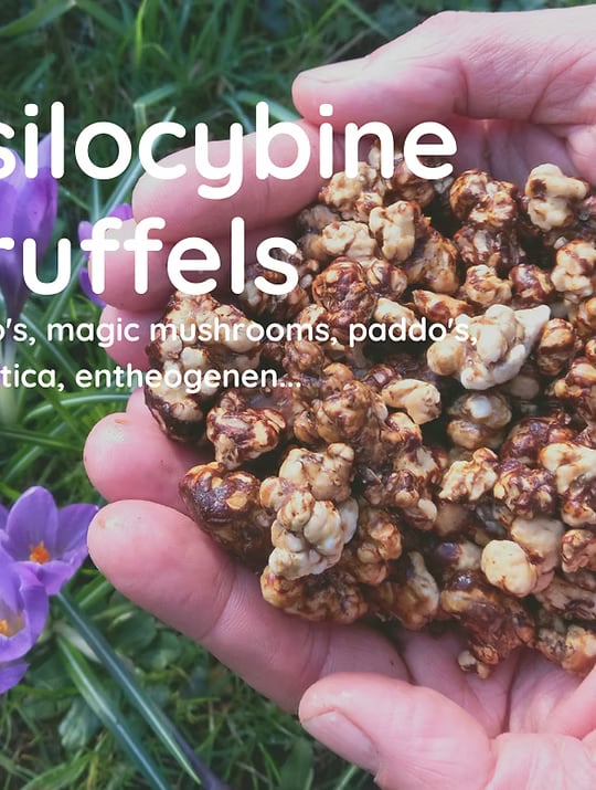 5-day ritiro di tartufo nel nostro Nature Temple