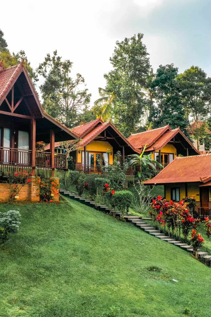 4 giorni di ritiro di lusso nella foresta pluviale tropicale, yoga e benessere a Bali