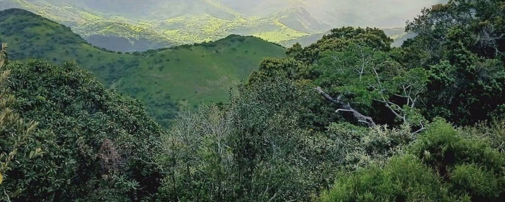 5 Giorni "INJOY" Ritiro - Respira nella Beatitudine a Magwa Falls