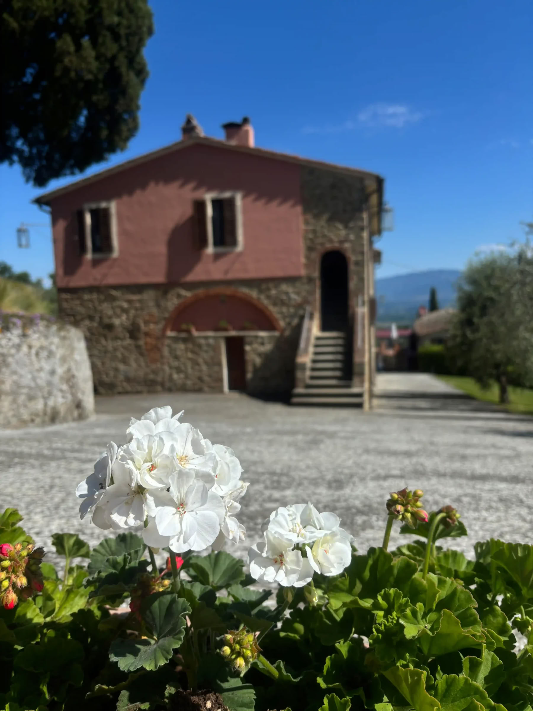 Yoga & Fitness – (7 Giorni/6 Notti)