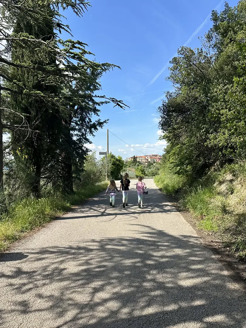 New Year Rejuvenation and reset Ritiro