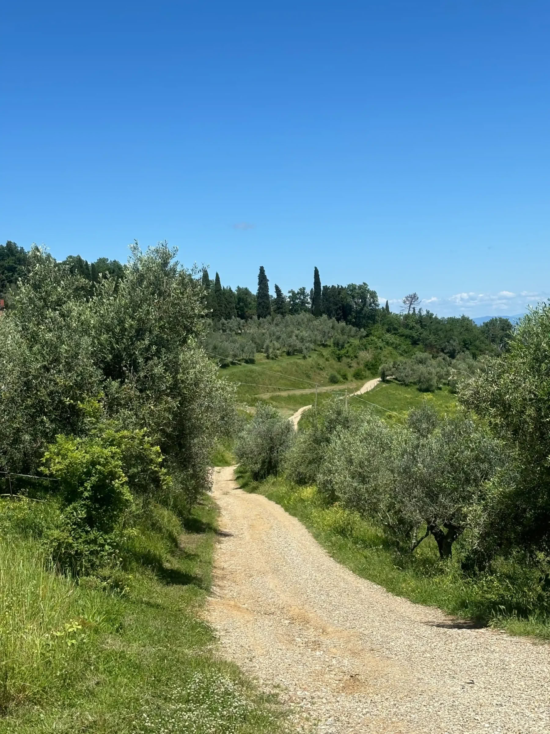 New Year Rejuvenation and reset Ritiro