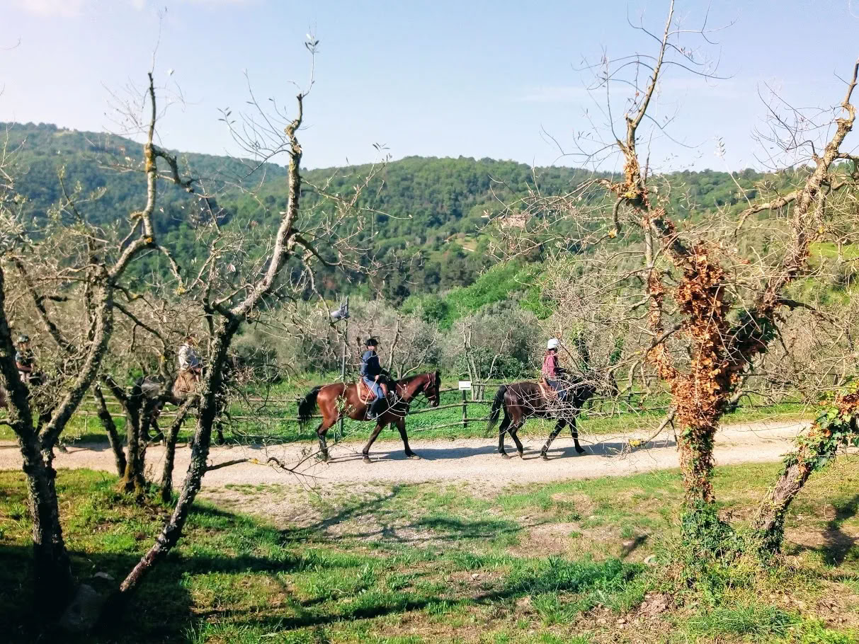 Yoga, Escursionismo, Fitness + Equitazione