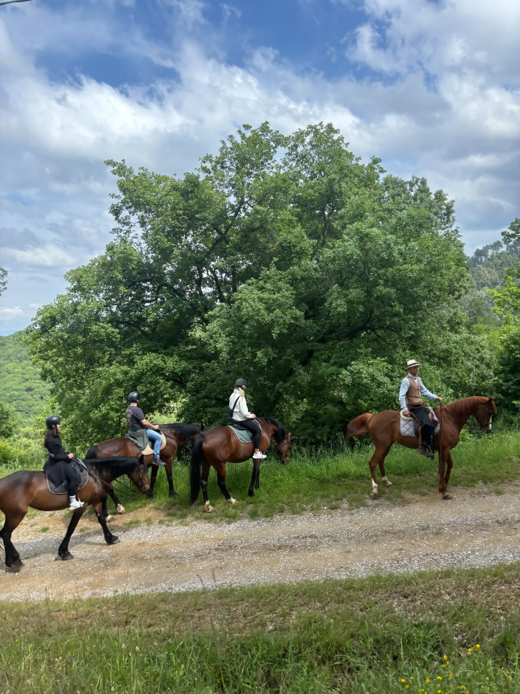 Yoga, Escursionismo, Fitness + Equitazione