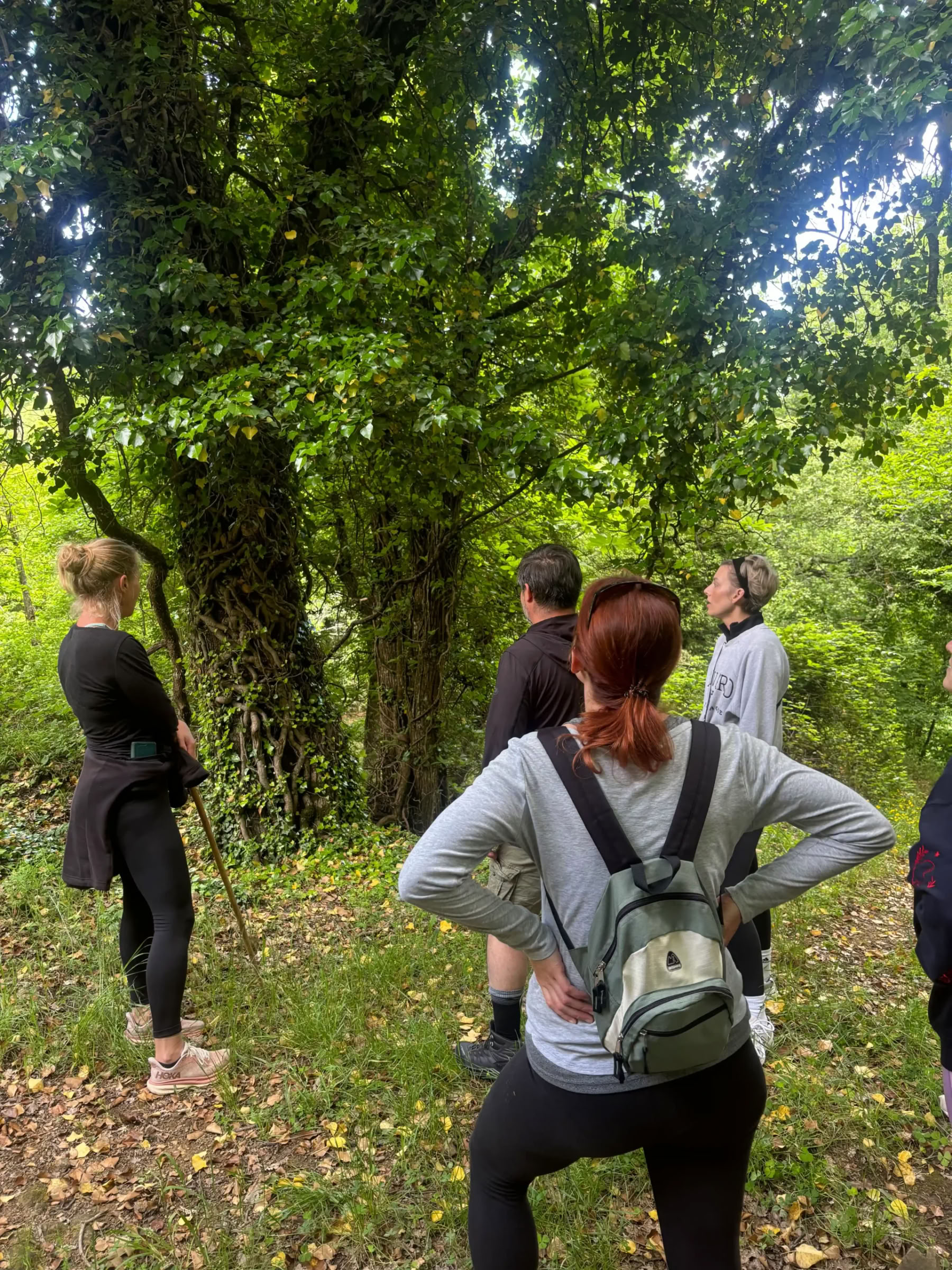 Yoga & Fitness – (4 Giorni/3 Notti)