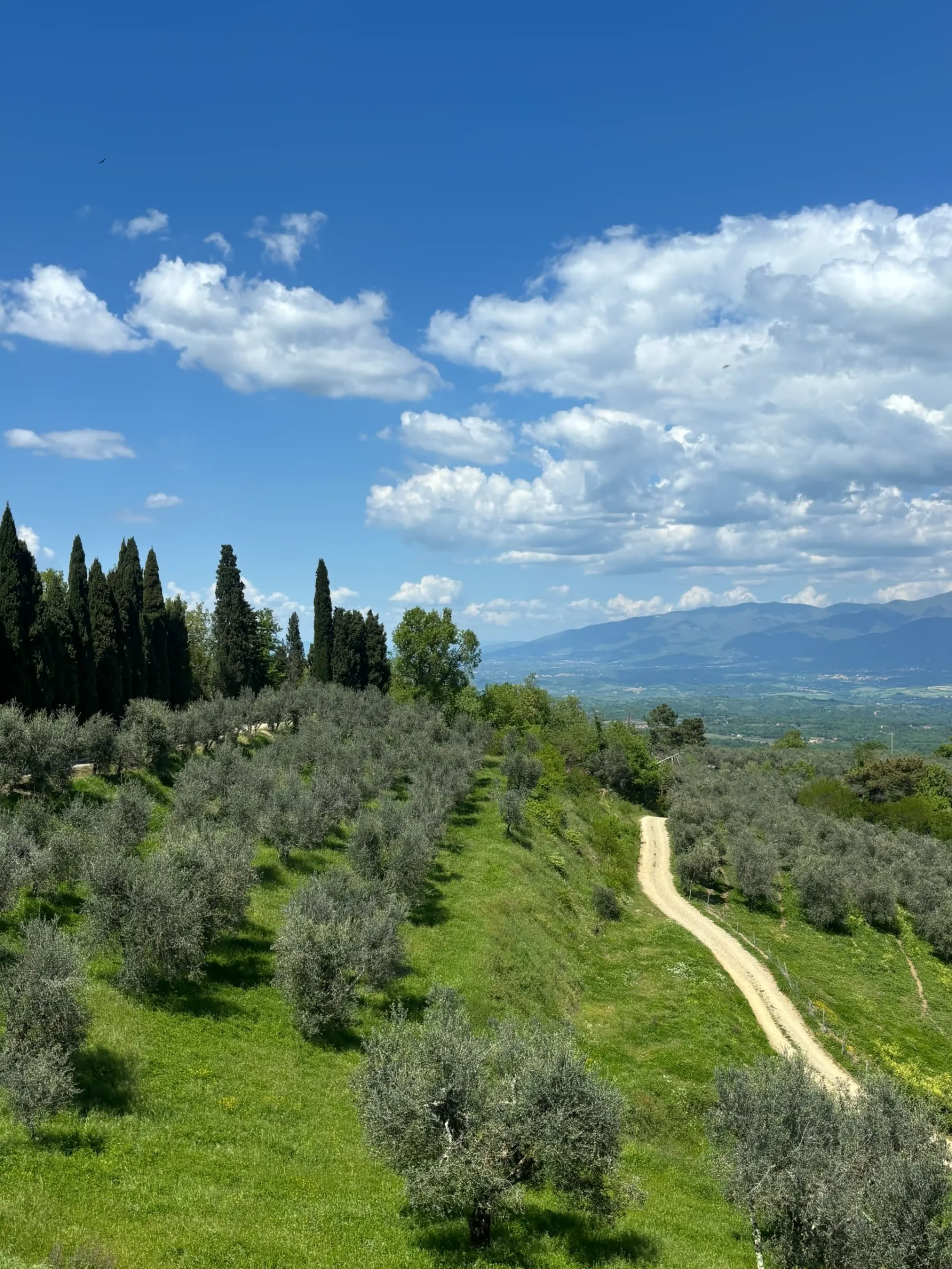 Yoga & Fitness – (4 Giorni/3 Notti)
