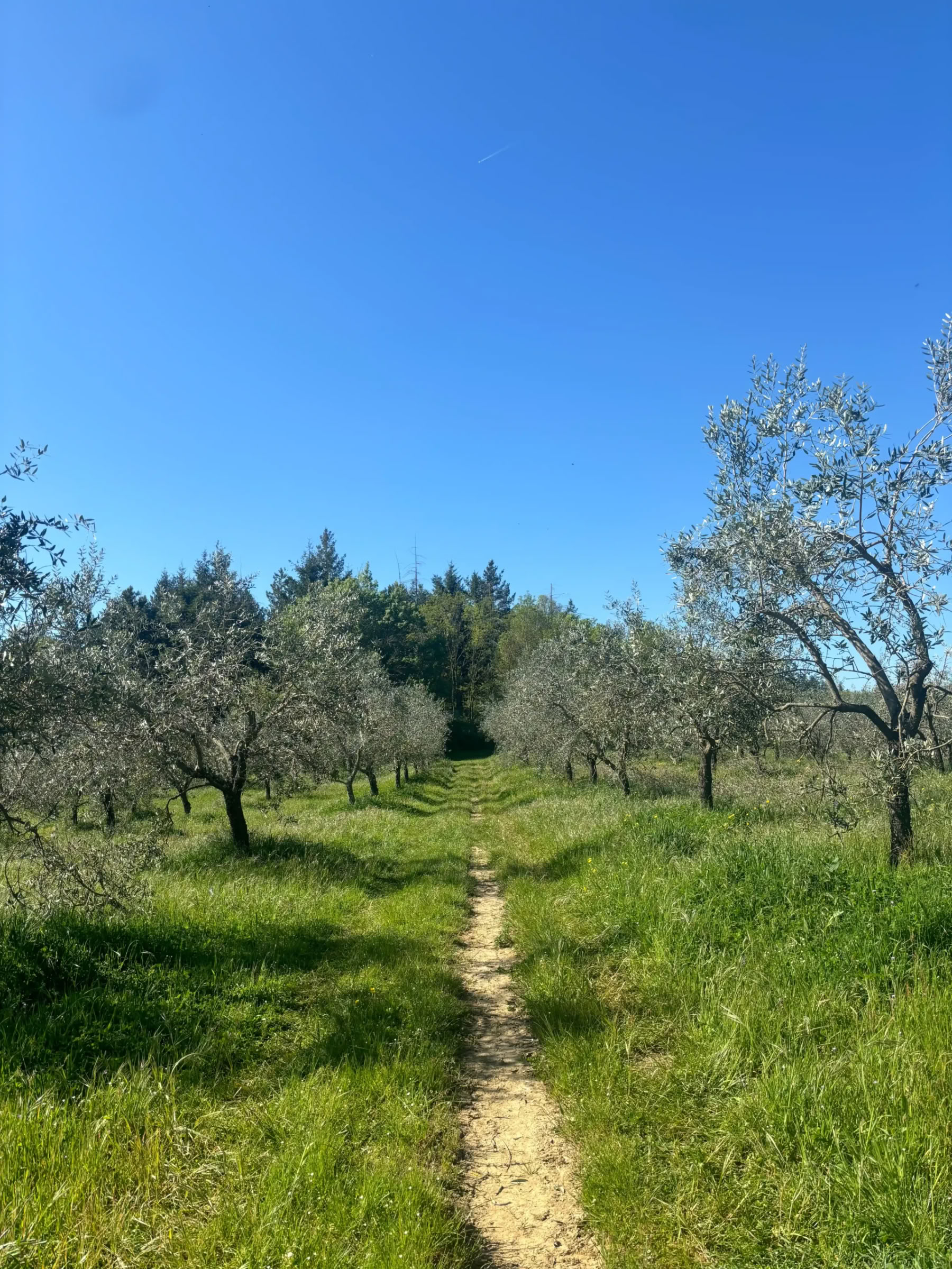 Yoga & Fitness – (4 Giorni/3 Notti)