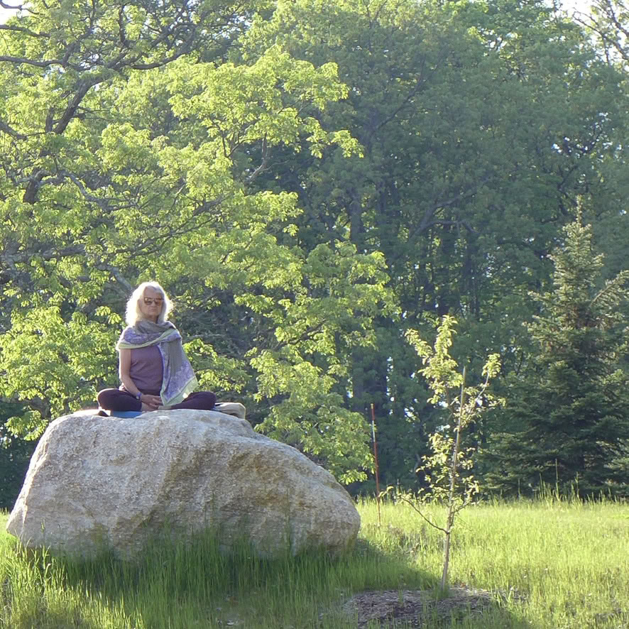 Nowhere to Go, Nothing to Do: Un ritiro silenzioso buddhista