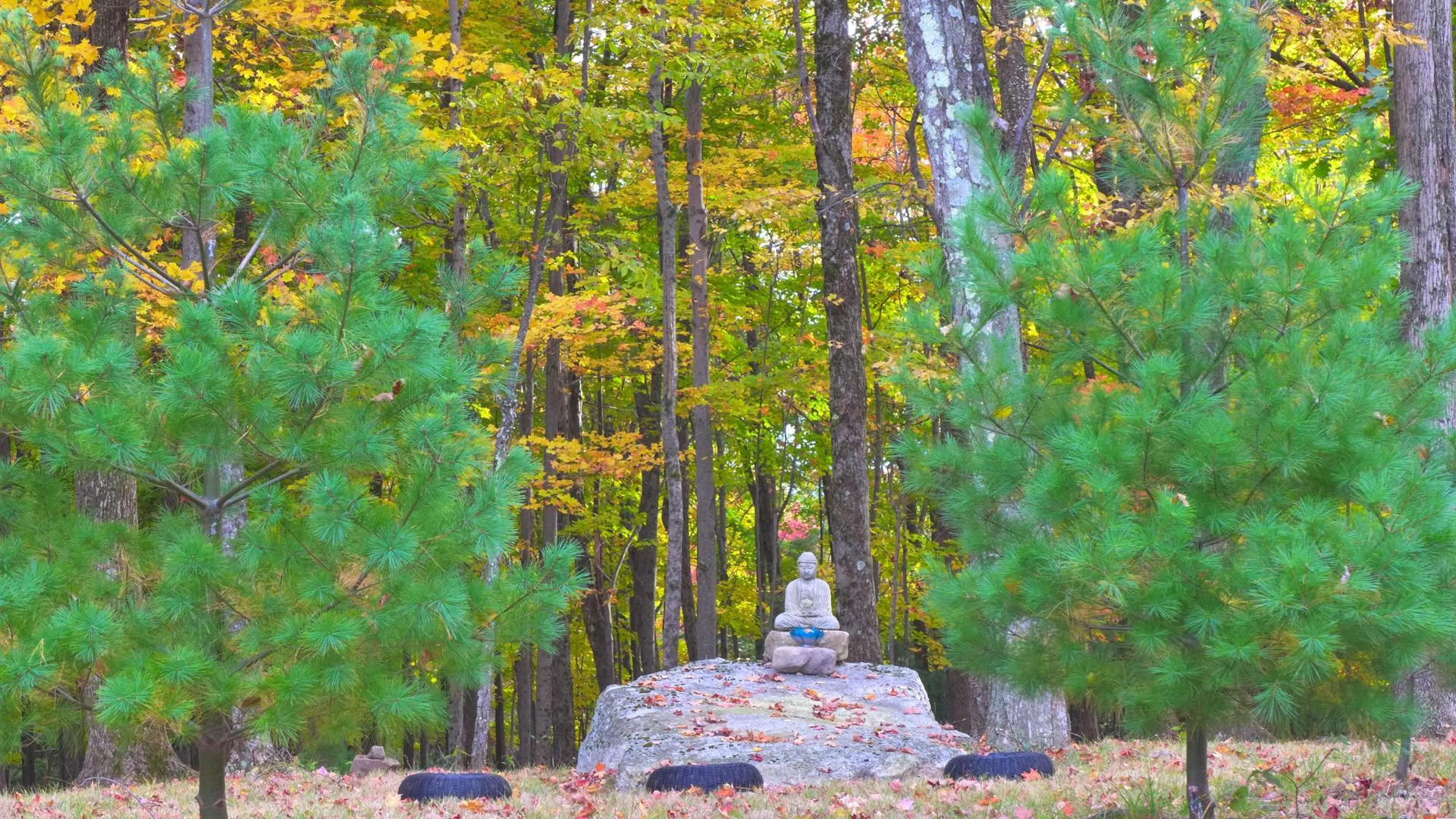 Ritiro della Sangha Triratna NY-NJ