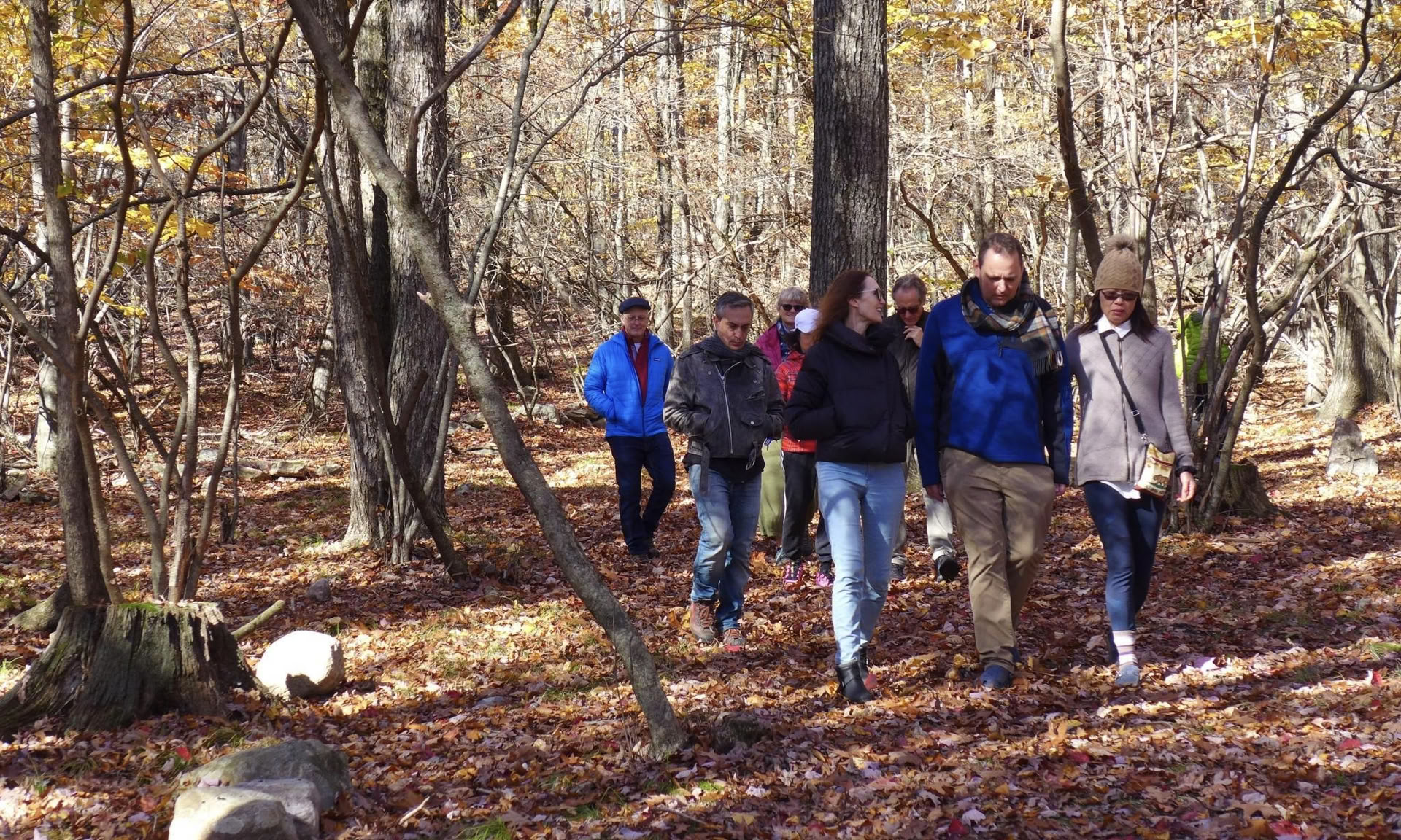 Ritiro di Yoga del Risveglio Autunnale