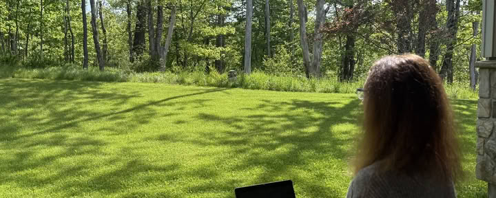 Upcoming Programs by John Henderson – Il potere del silenzio: un ritiro silenzioso per corpo, mente e spirito