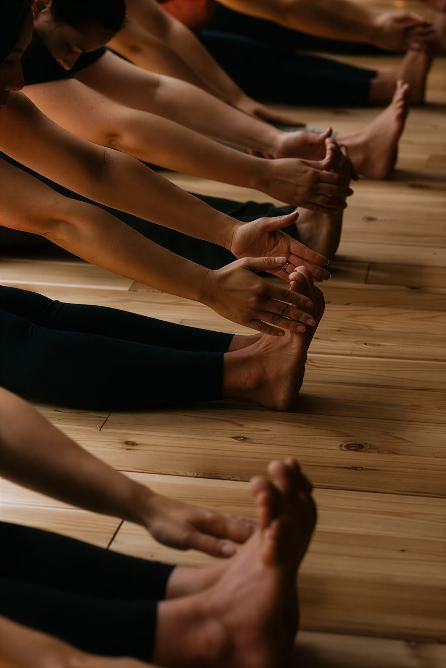 One Day Ritiro Mindfulness