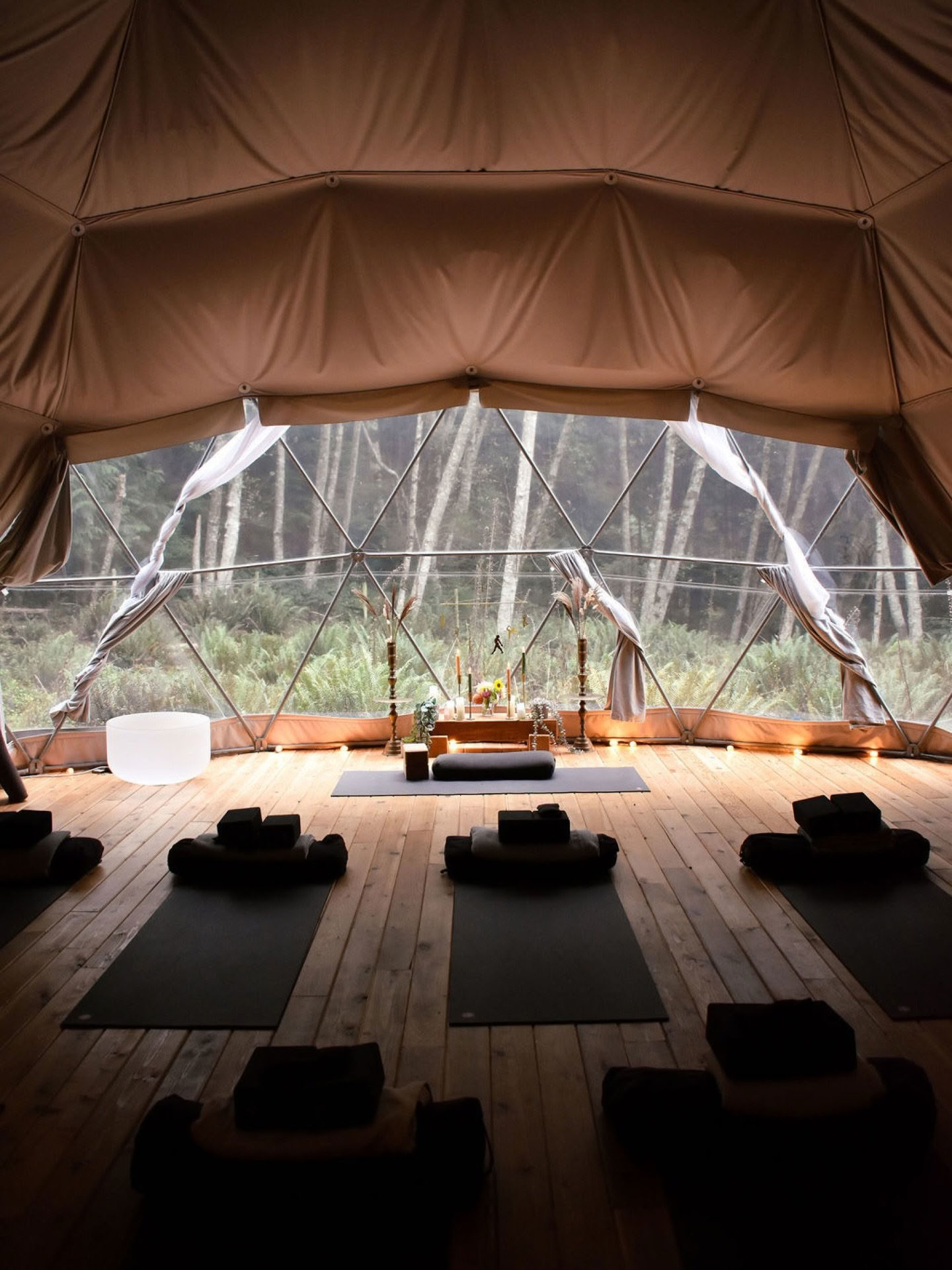 Breathwork & Pranayama Teacher Training con Carolyn Anne Budgell + Nectar Yoga — Nectar Yoga