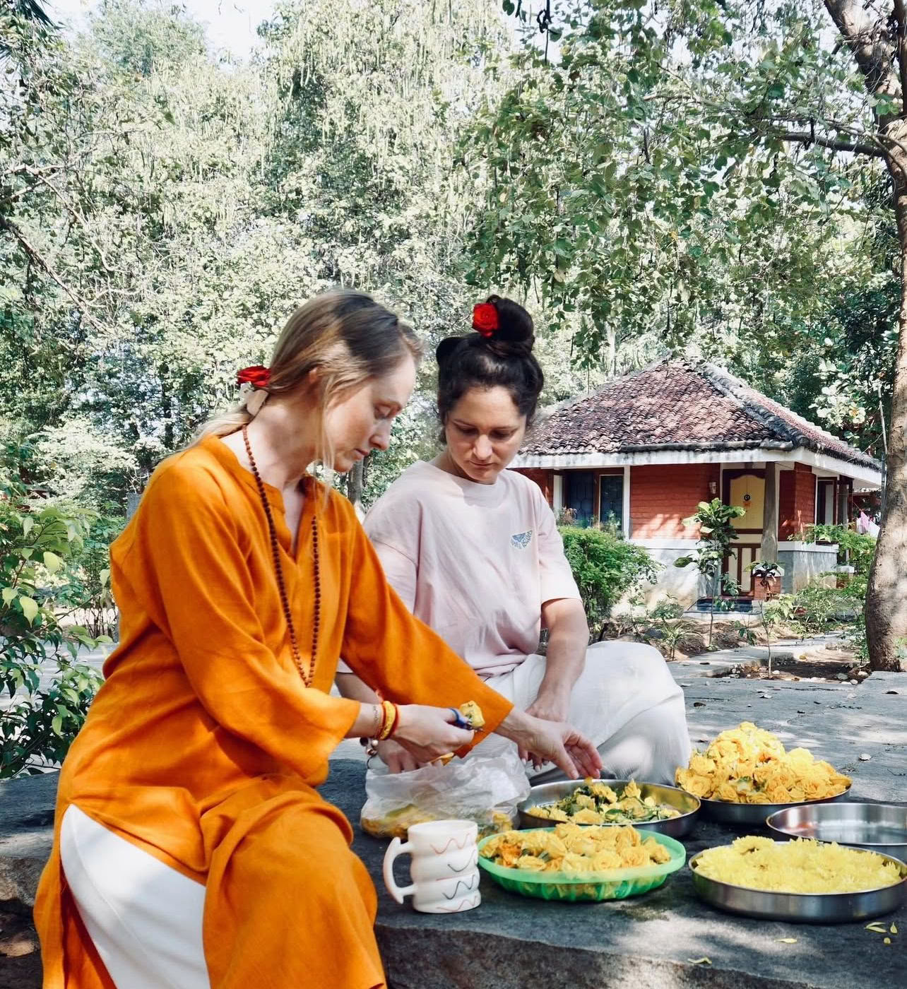 Jan 24 Ritiro Ashram di Meditazione Silenziosa Detox di 21 Giorni India