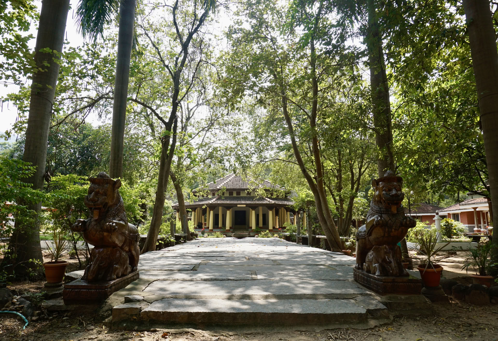 Jan 24 Ritiro Ashram di Meditazione Silenziosa Detox di 21 Giorni India