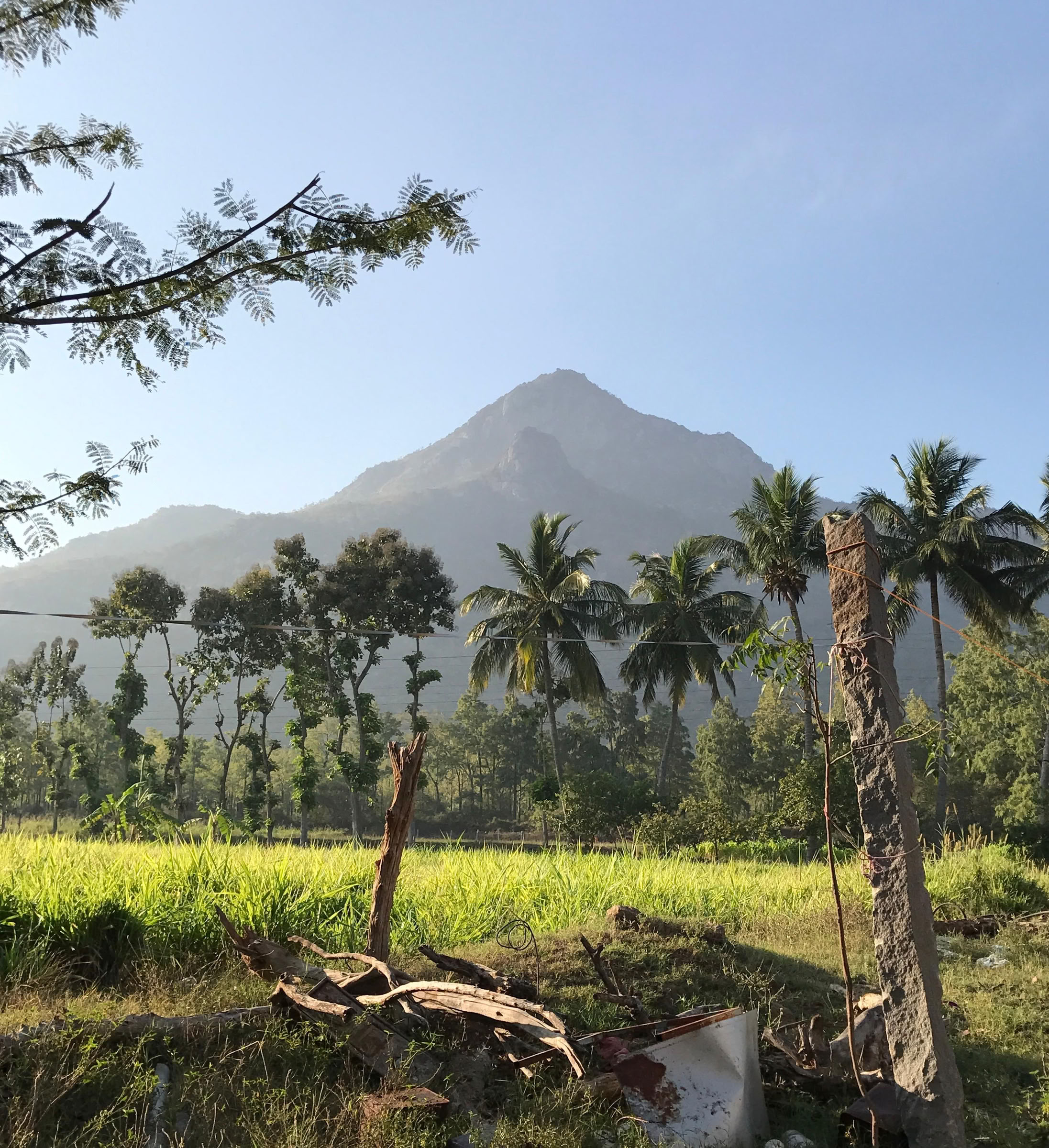 21-Day Ritiro Ashram di Detox e Meditazione Silenziosa India