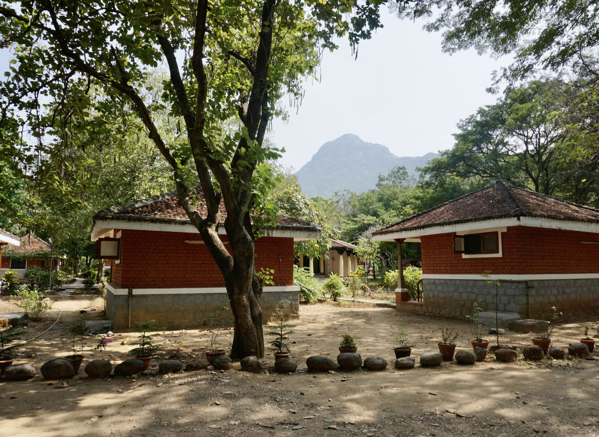 21-Day Ritiro Ashram di Detox e Meditazione Silenziosa India