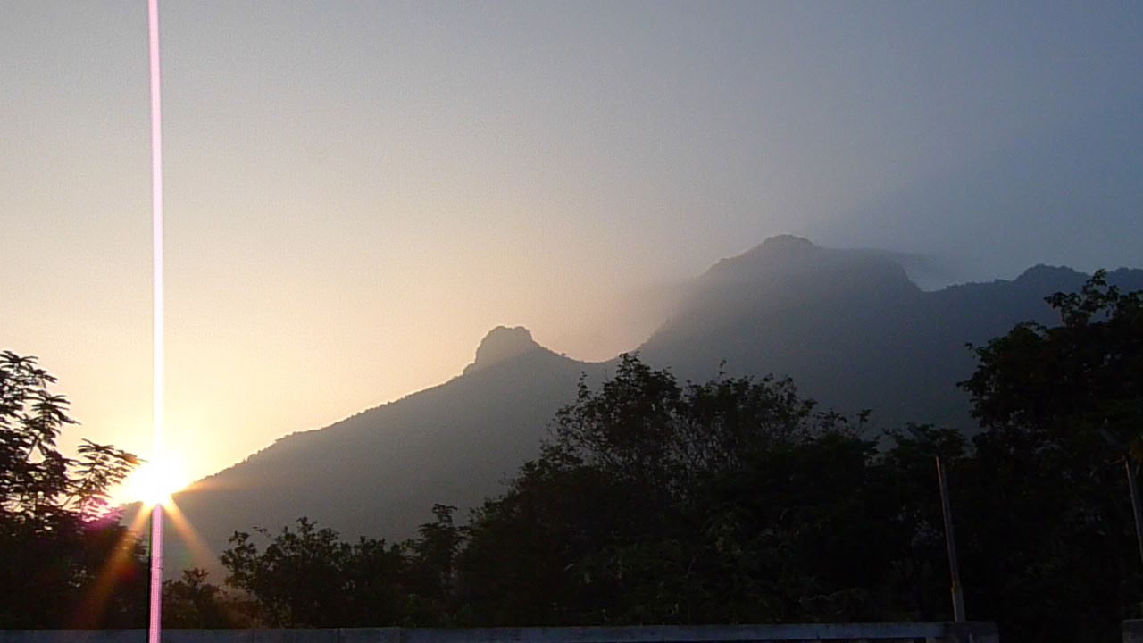 21-Day Ritiro Ashram di Detox e Meditazione Silenziosa India
