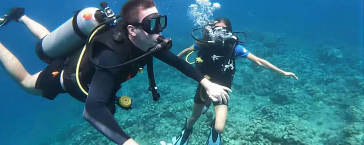 Immersioni nell'Isola di Menjangan