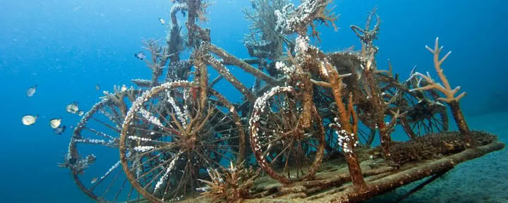 Immersione introduttiva a Lovina Reef 2 immersioni