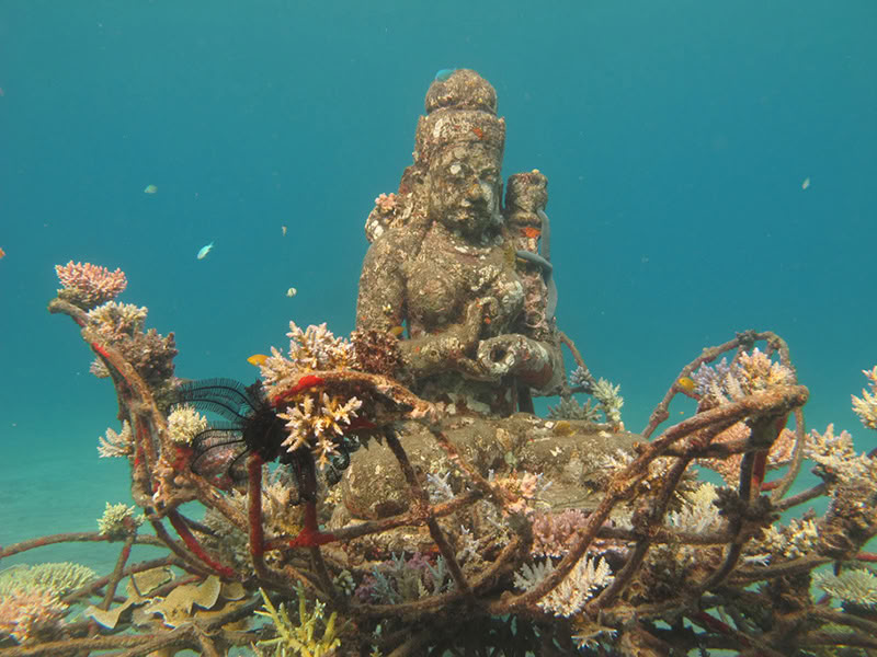 Tour di Pemuteran con snorkeling