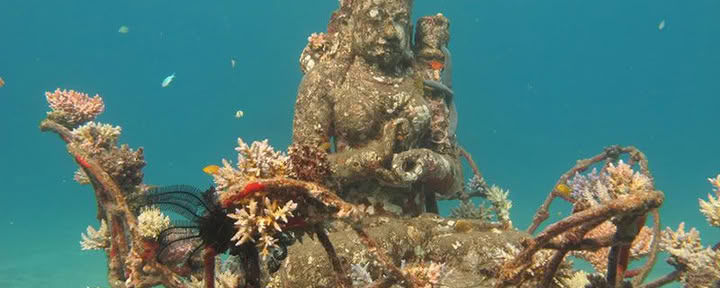Tour di Pemuteran con snorkeling