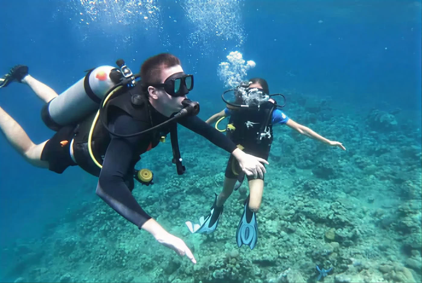Menjangan Island - Tour di immersioni divertenti