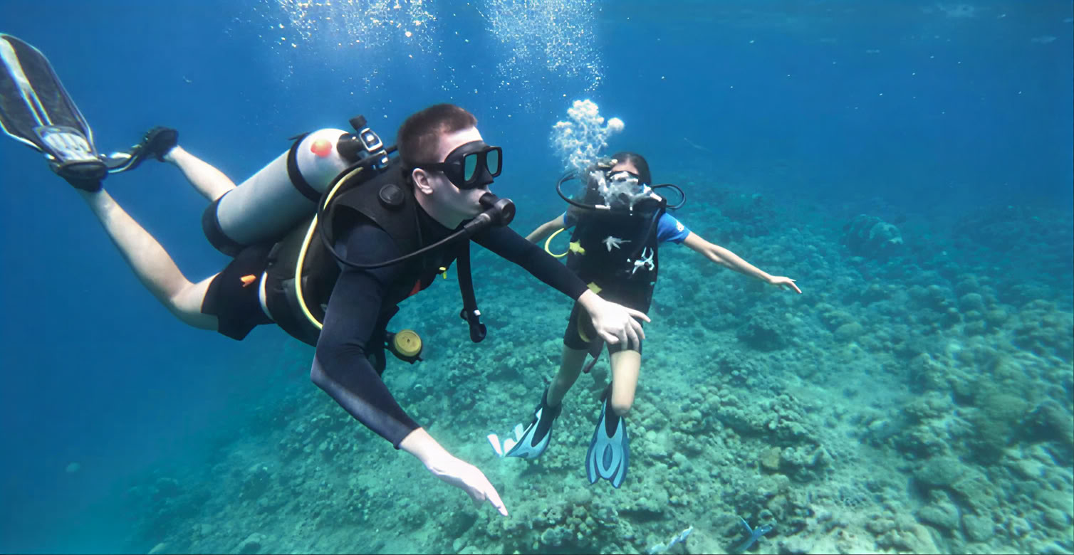Menjangan Island - Tour di immersioni divertenti