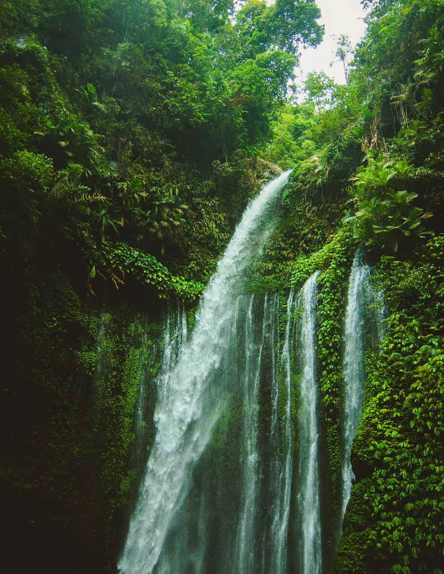 ZEN TREKKING E SCOPERTA DELLE CASCATE