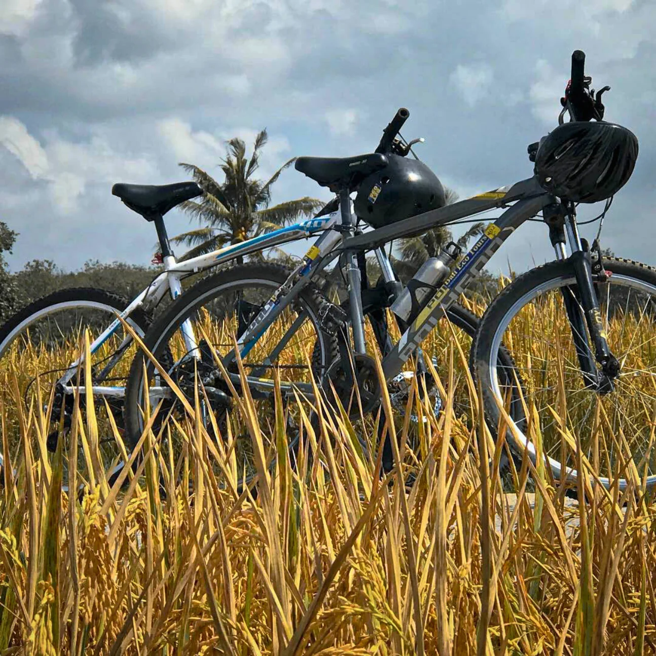 ESCURSIONE CICLISTICA CULTURALE