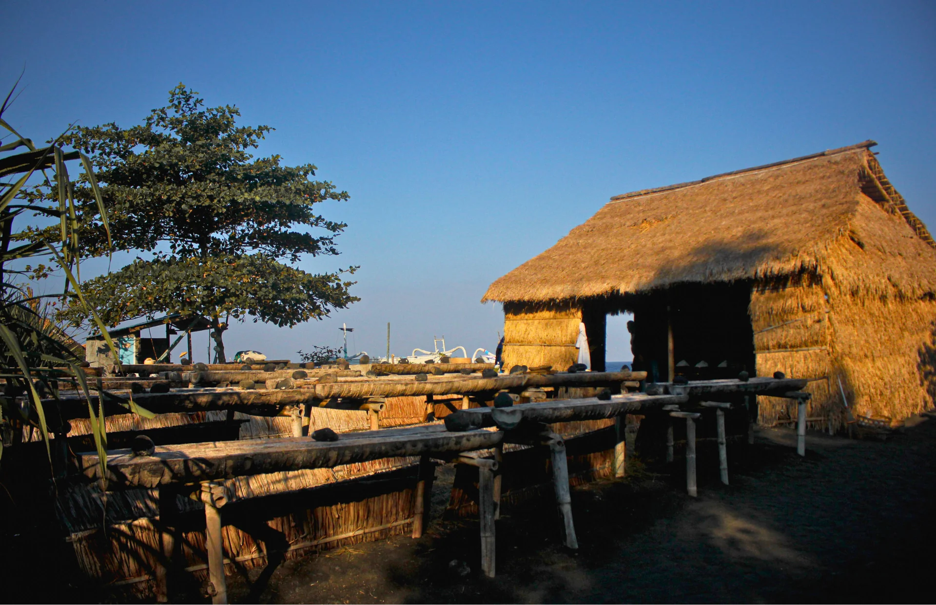 Patrimonio del Sale Balinese