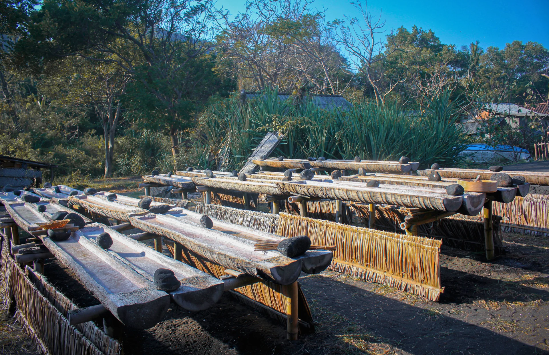 Patrimonio del Sale Balinese