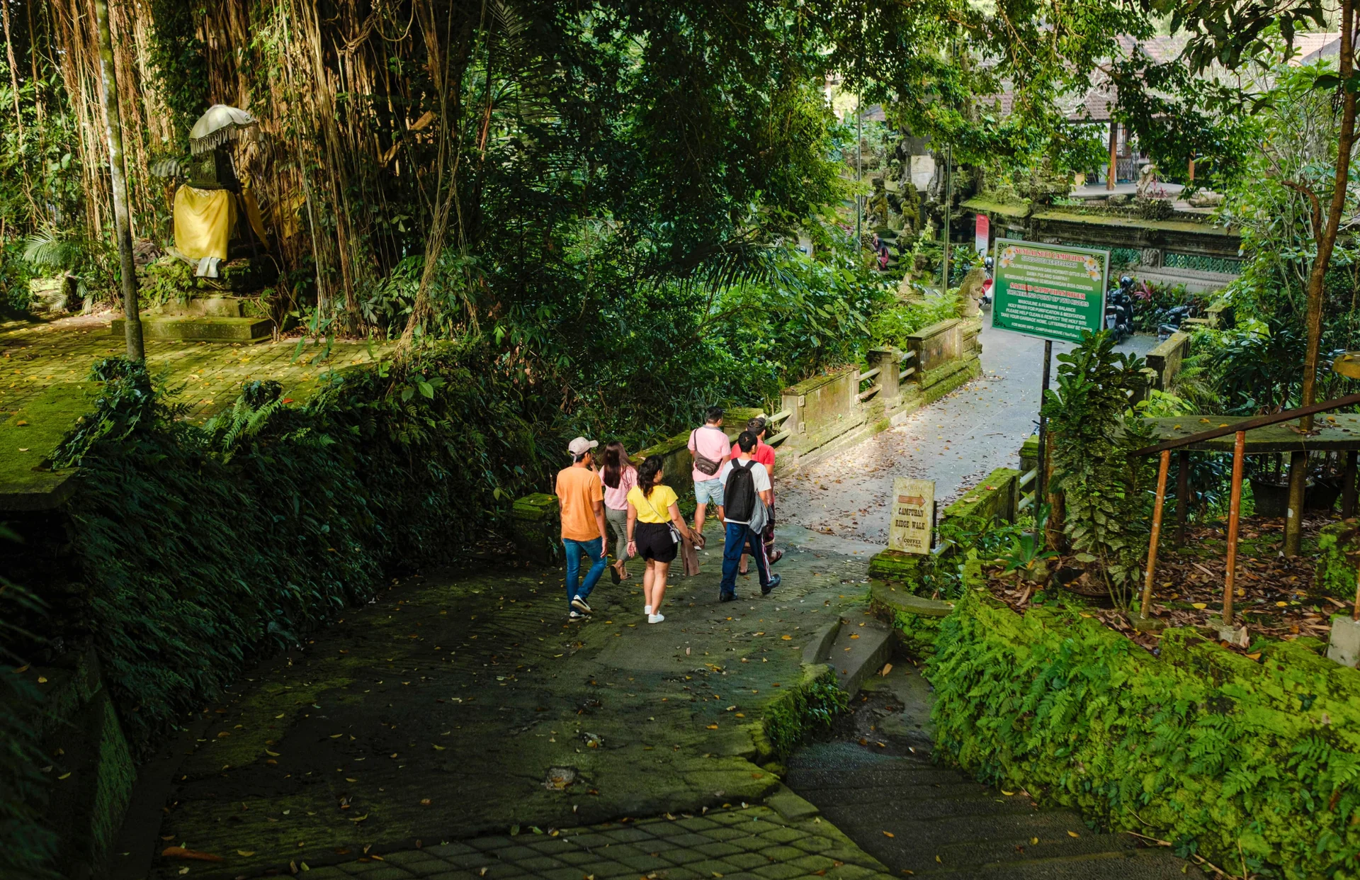 PASSEGGIATE NARRATE A UBUD