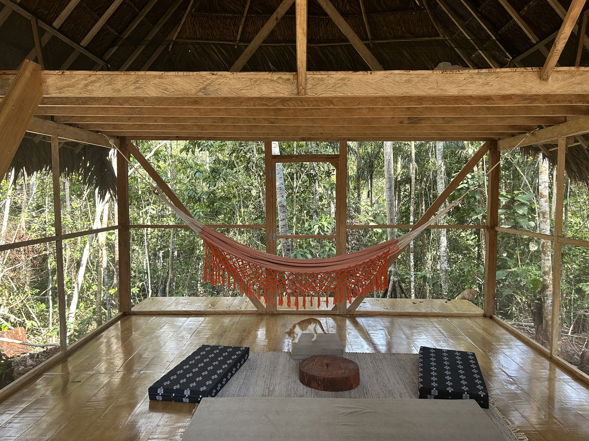 Otwarty ritiro ayahuaskowy w Psychonauta Tribe