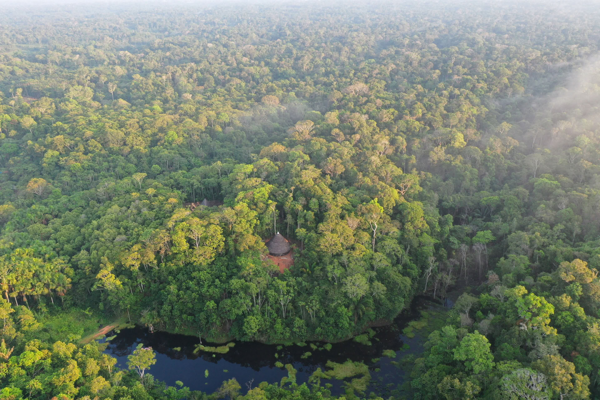 Ritiro Open Ayahuasca