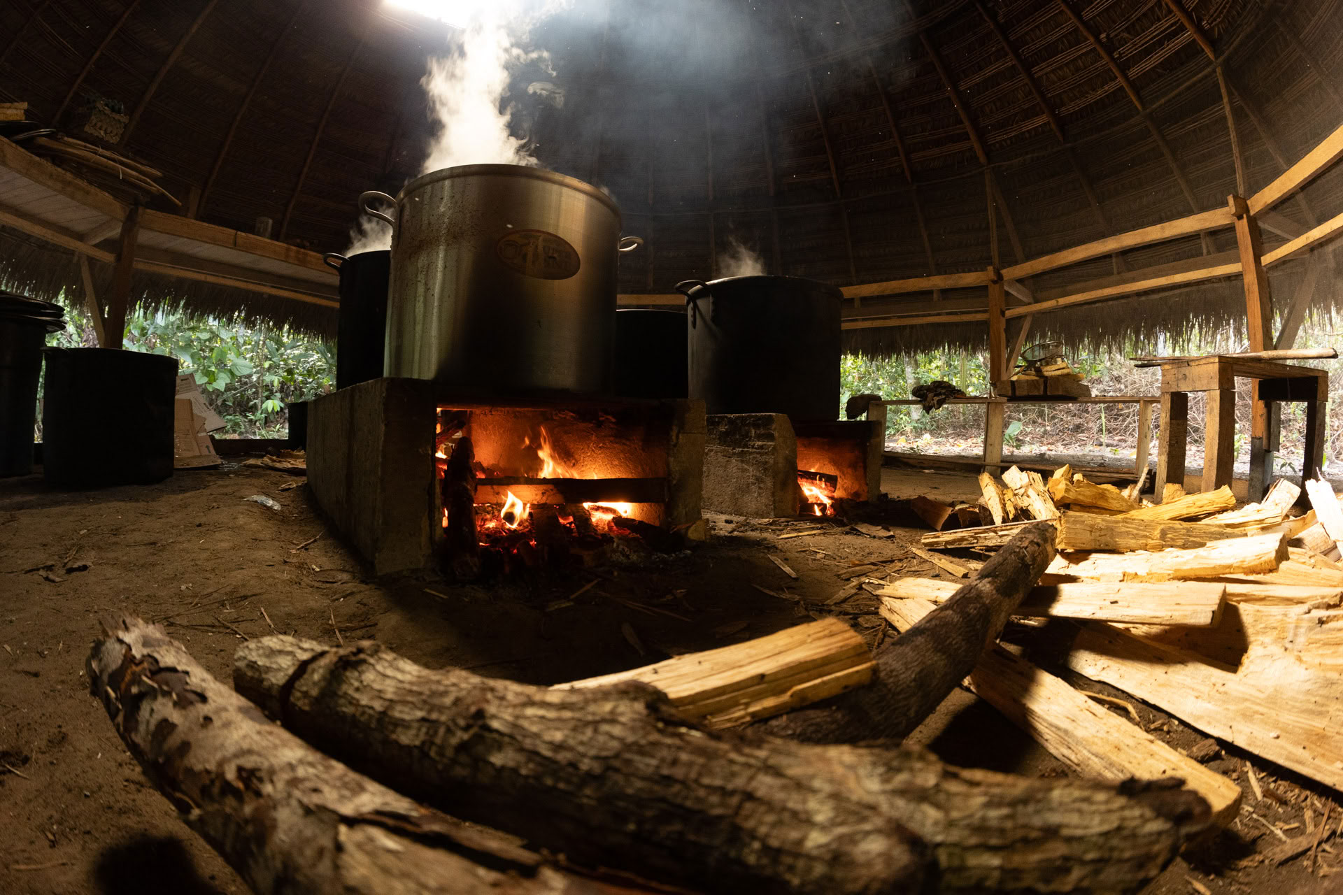 Ritiro Open Ayahuasca