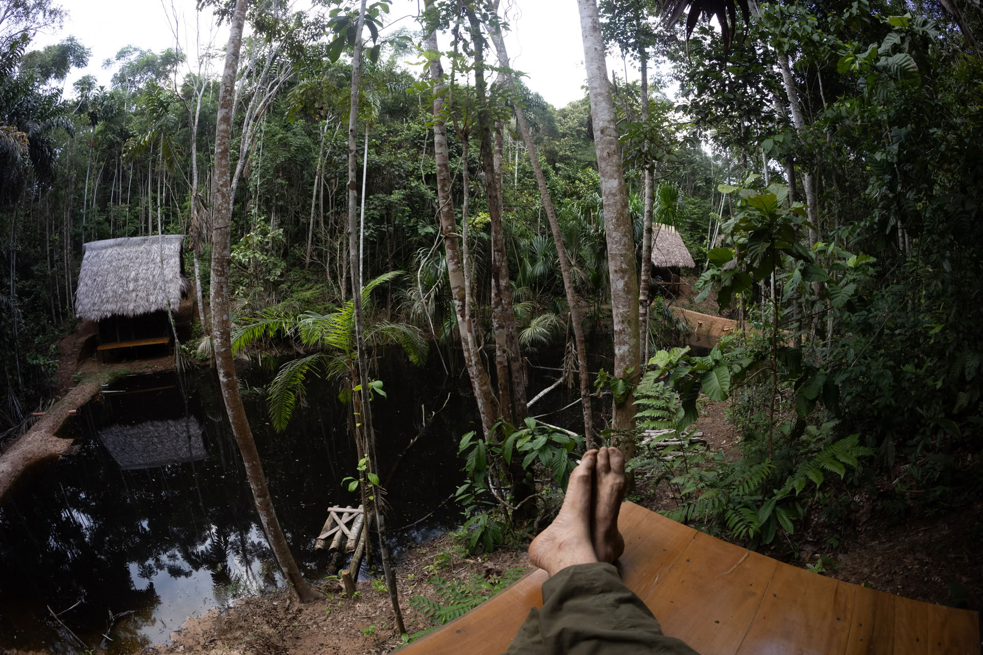 Ritiro Open Ayahuasca