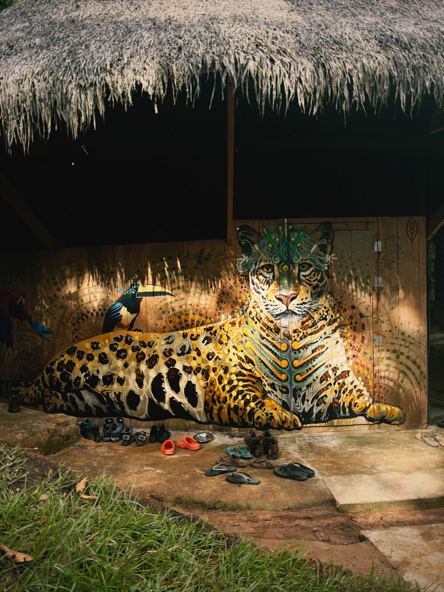 Ritiro Open Ayahuasca