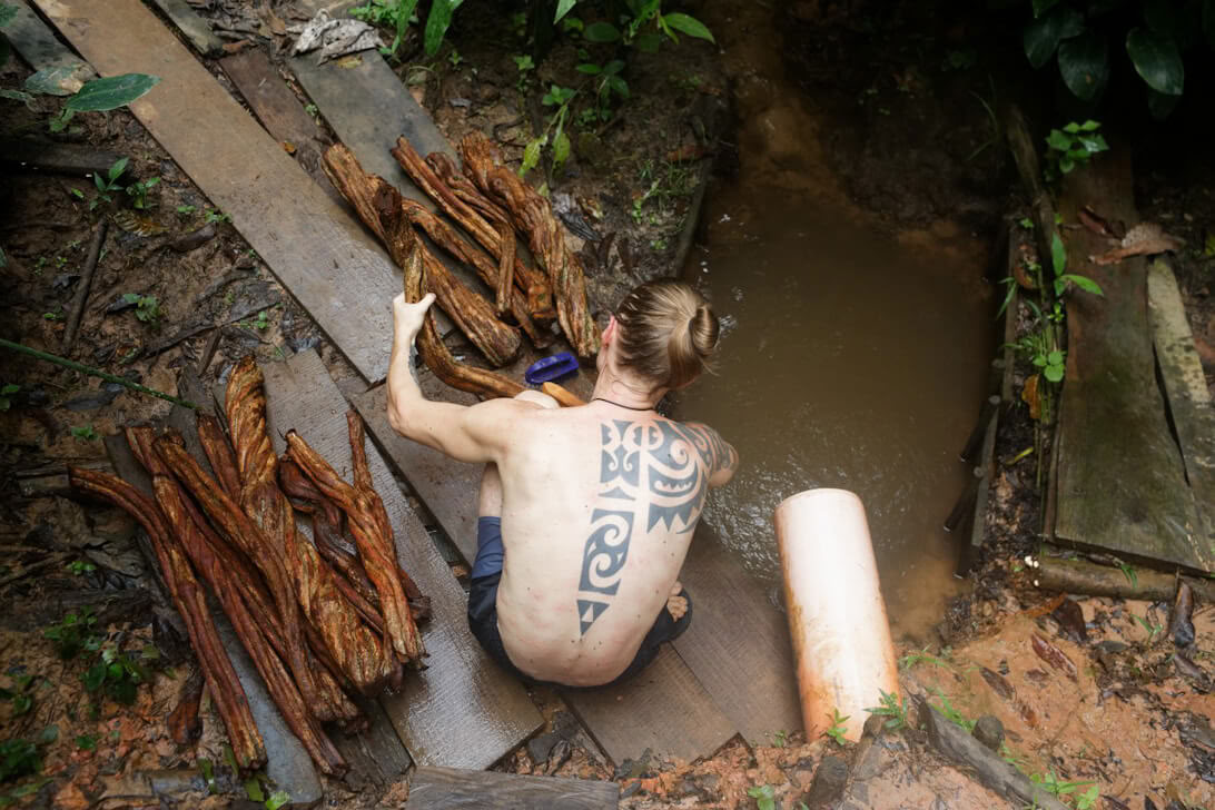 Ritiro di Ayahuasca & Master Plant Dieta in Perù
