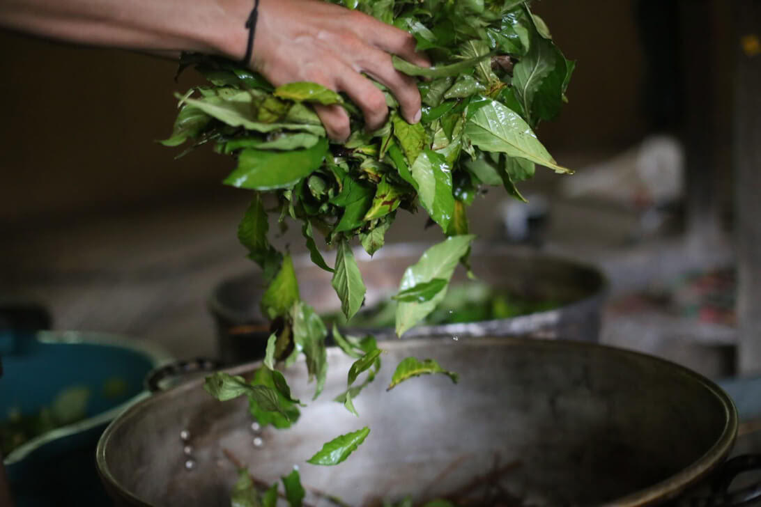 Ritiro di Ayahuasca & Master Plant Dieta in Perù
