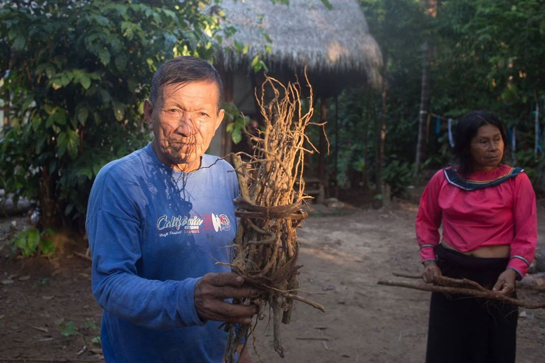 Ritiro di Ayahuasca & Master Plant Dieta in Perù