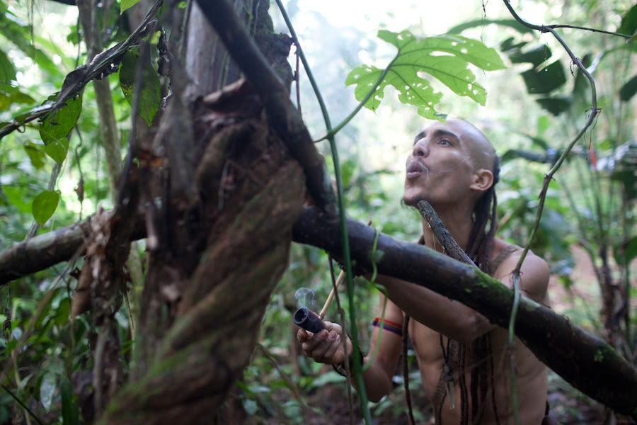 Ritiro di Ayahuasca & Master Plant Dieta in Perù