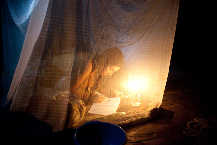 Ritiro di Ayahuasca & Master Plant Dieta in Perù
