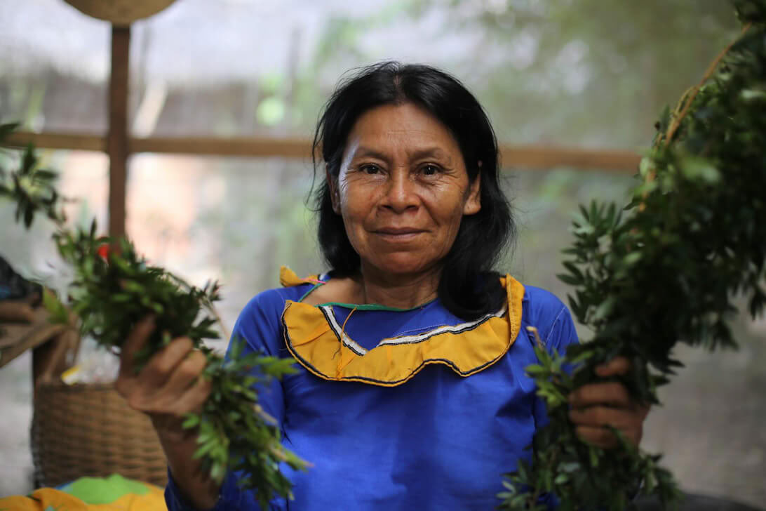 Ritiro di Ayahuasca & Master Plant Dieta in Perù