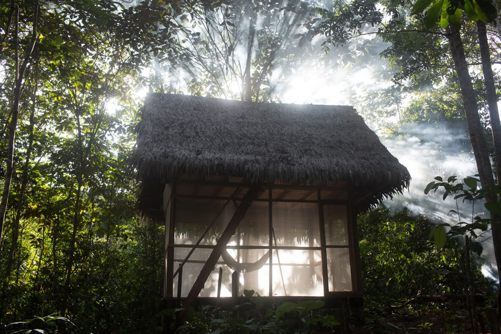 Ritiro di Ayahuasca & Master Plant Dieta in Perù