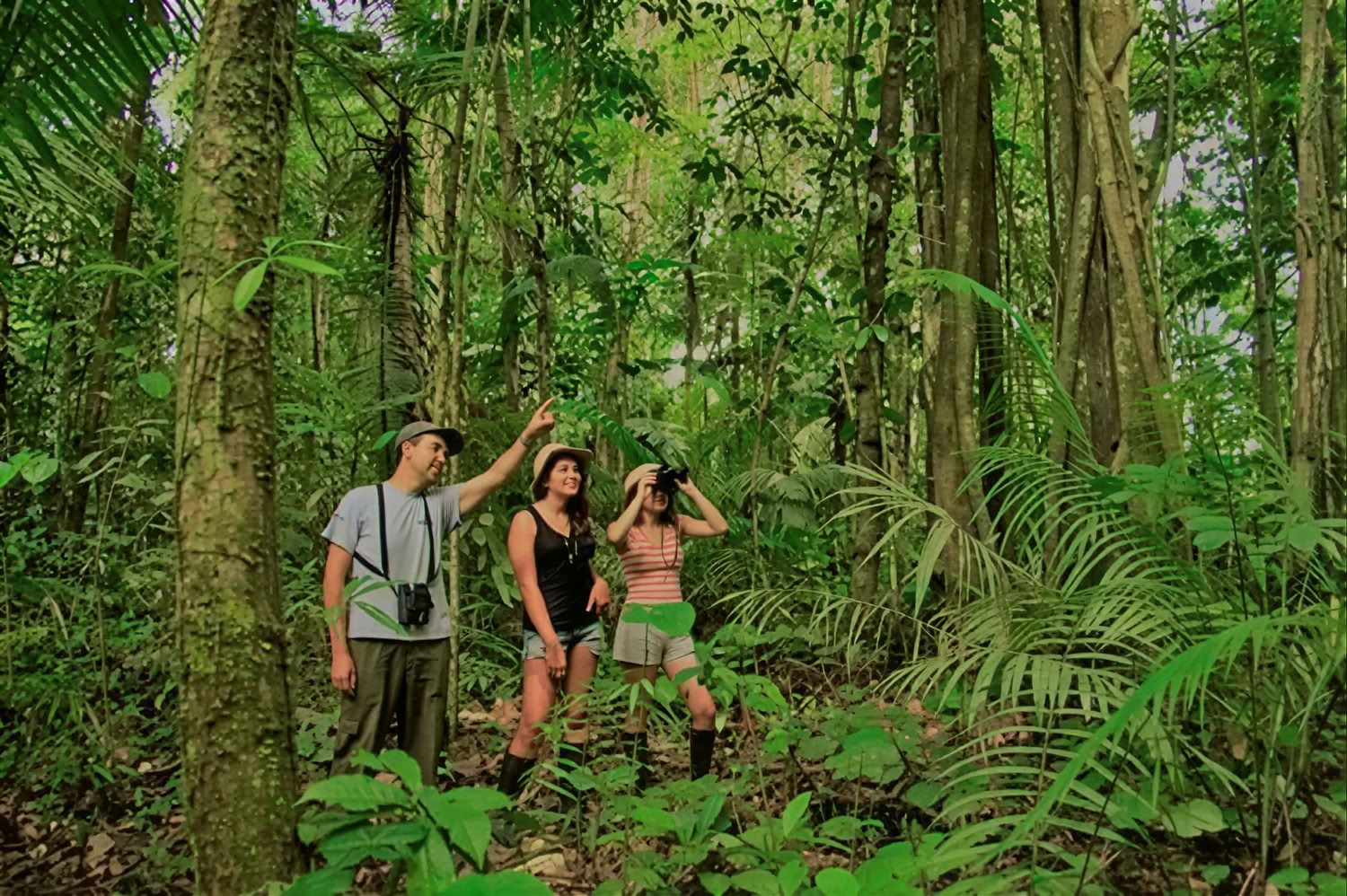 Ritiro di Ayahuasca