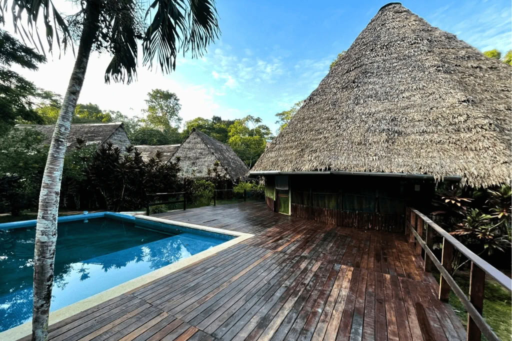 Amazzonia - Blue Morpho Lodge 3 ayahuasca & 1 San Pedro